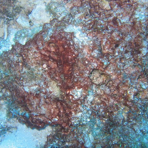 IMG_9020 IMG_9020