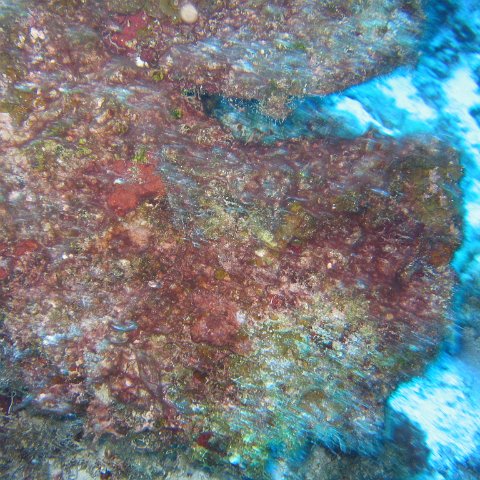 IMG_9022 IMG_9022