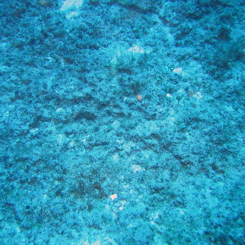 IMG_9024 IMG_9024