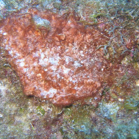 IMG_9027 IMG_9027