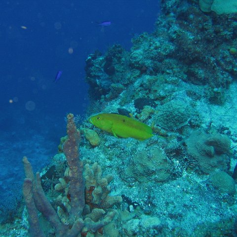 IMG_9051 IMG_9051