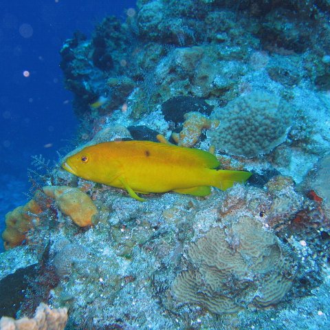 IMG_9052 IMG_9052