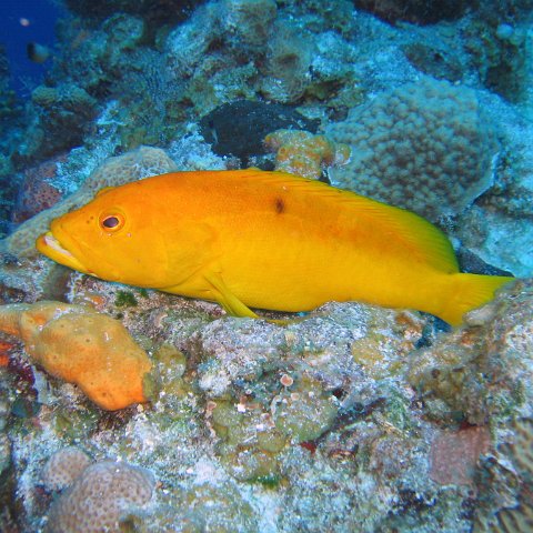 IMG_9054 IMG_9054