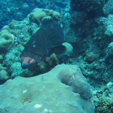 IMG_9061 IMG_9061