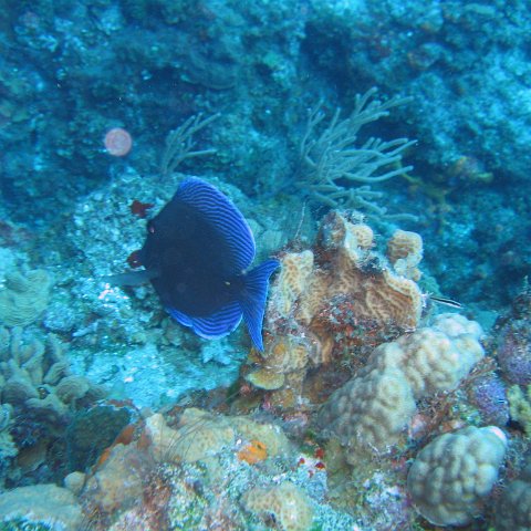 IMG_9062 IMG_9062