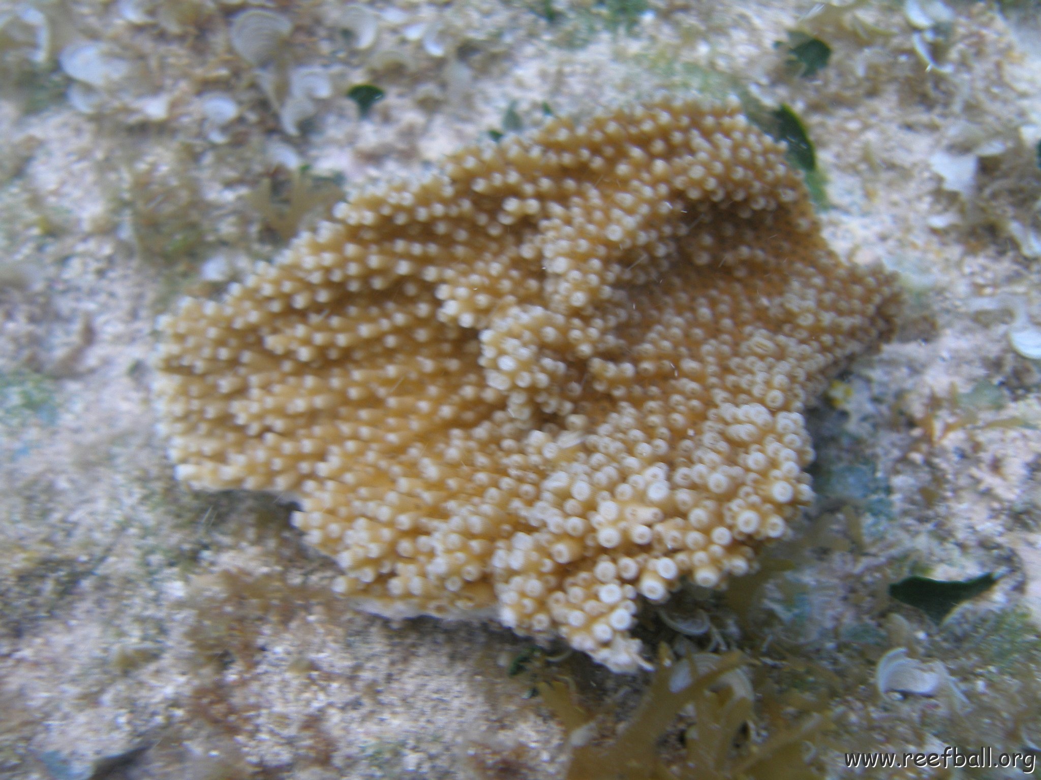 P6130033 