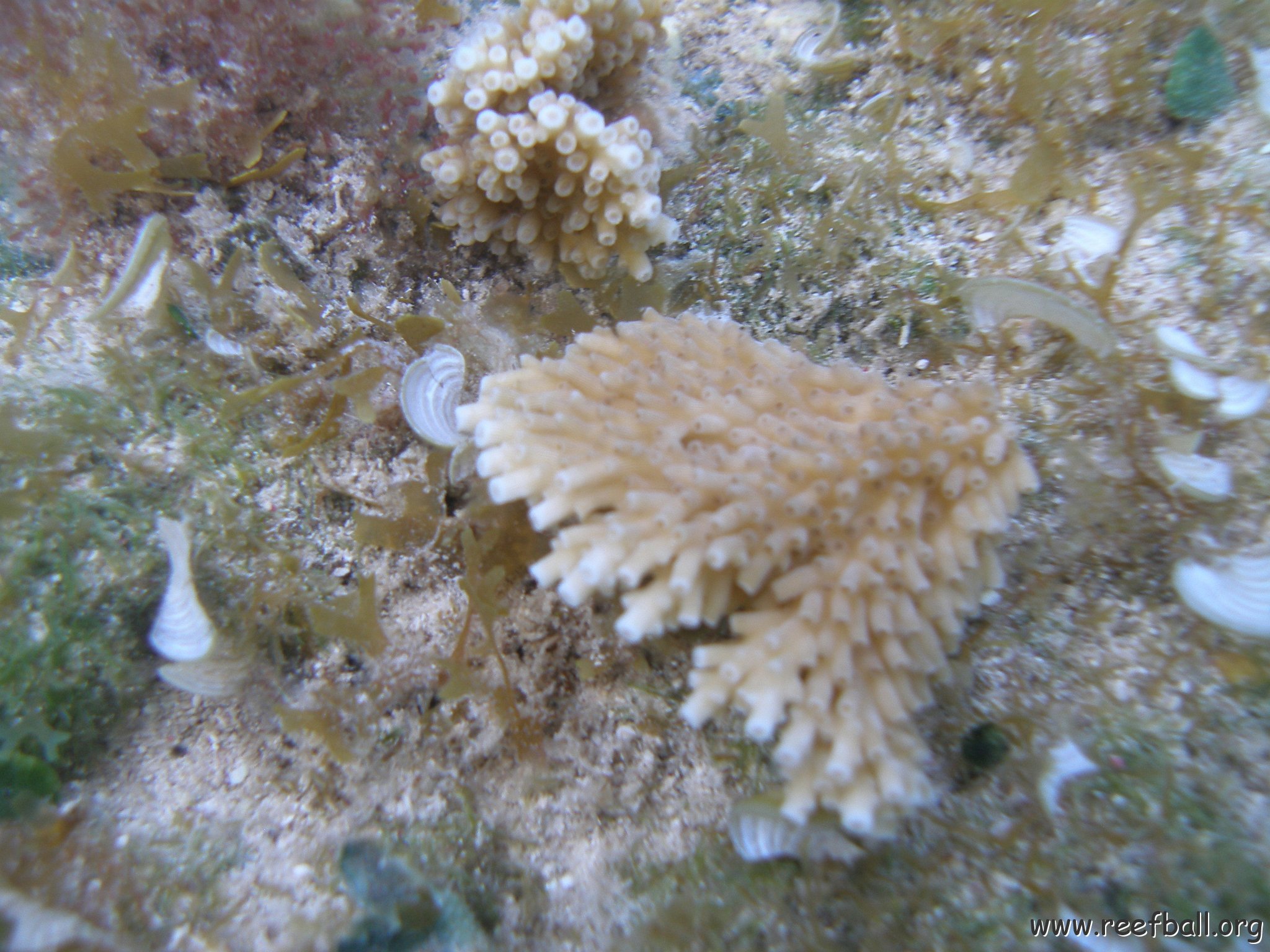 P6130034 