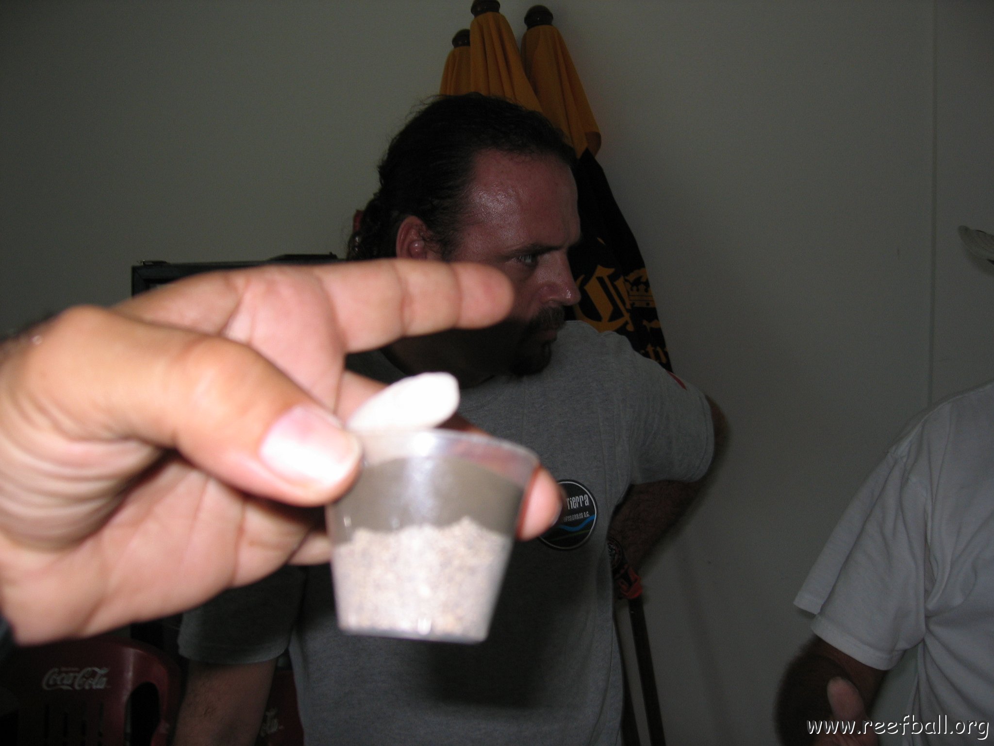 cozumelcoralpropproject2007javertake 026 
