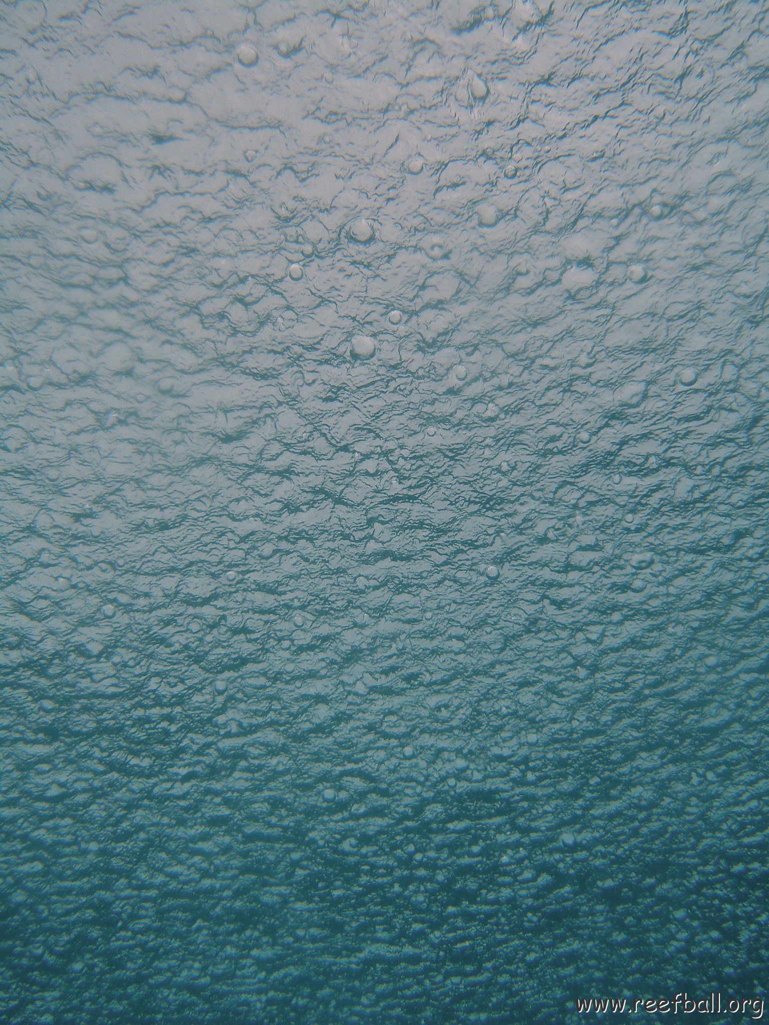 P6150204