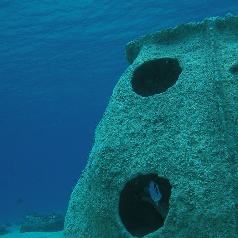 coralplanting