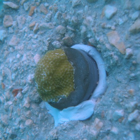 P6150200 P6150200