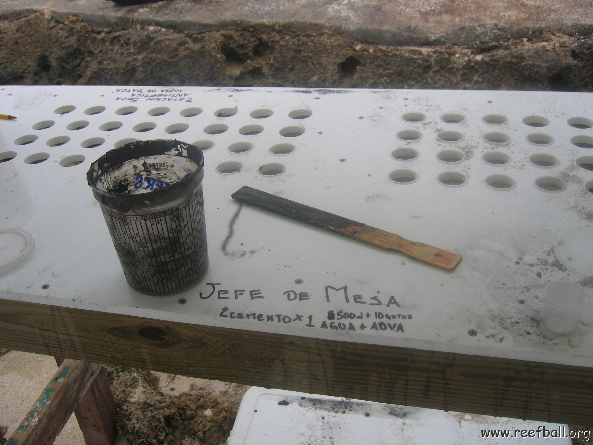 cozumelcoralpropproject2007 015 