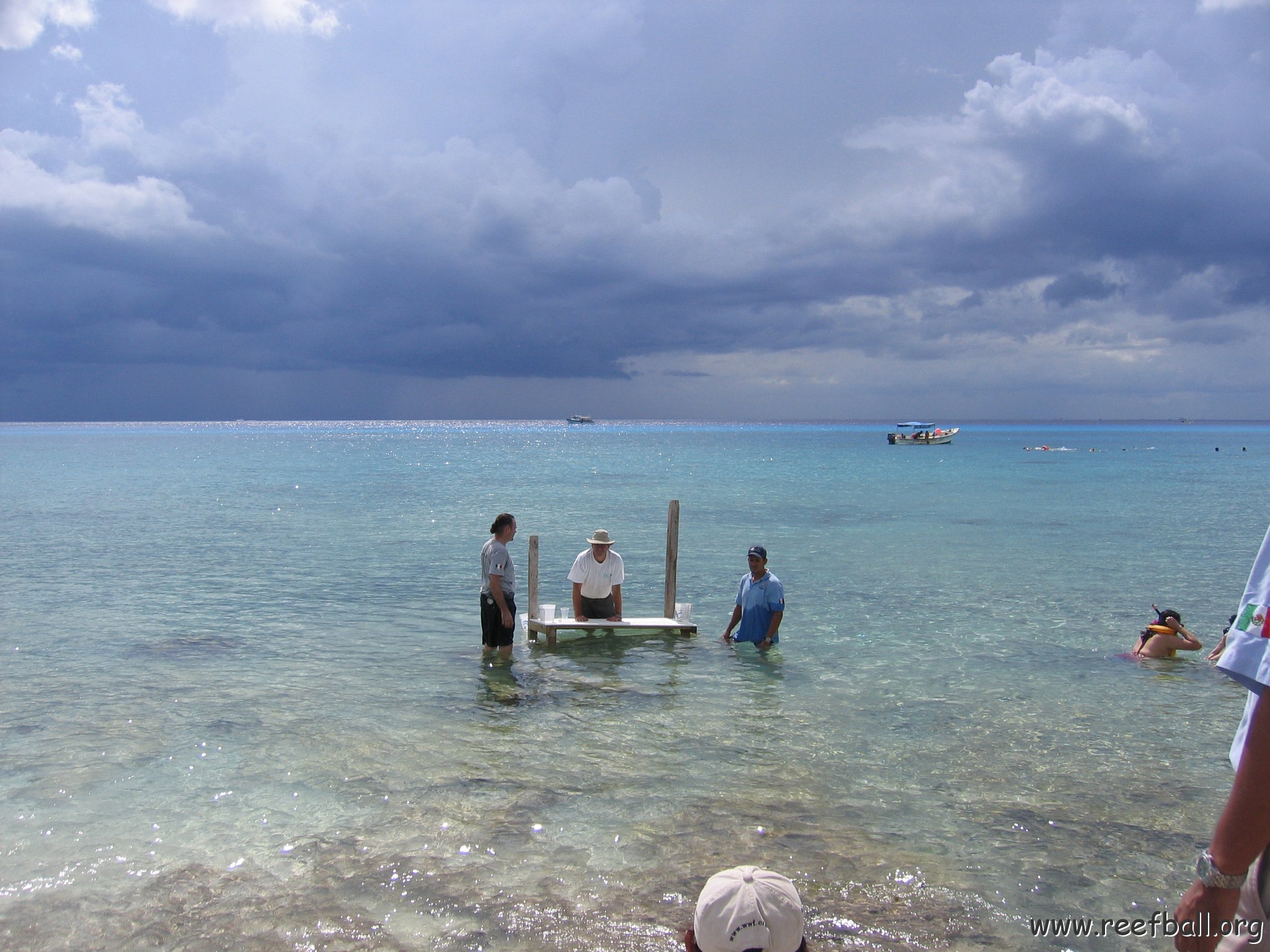 cozumelcoralpropproject2007javertake 050 