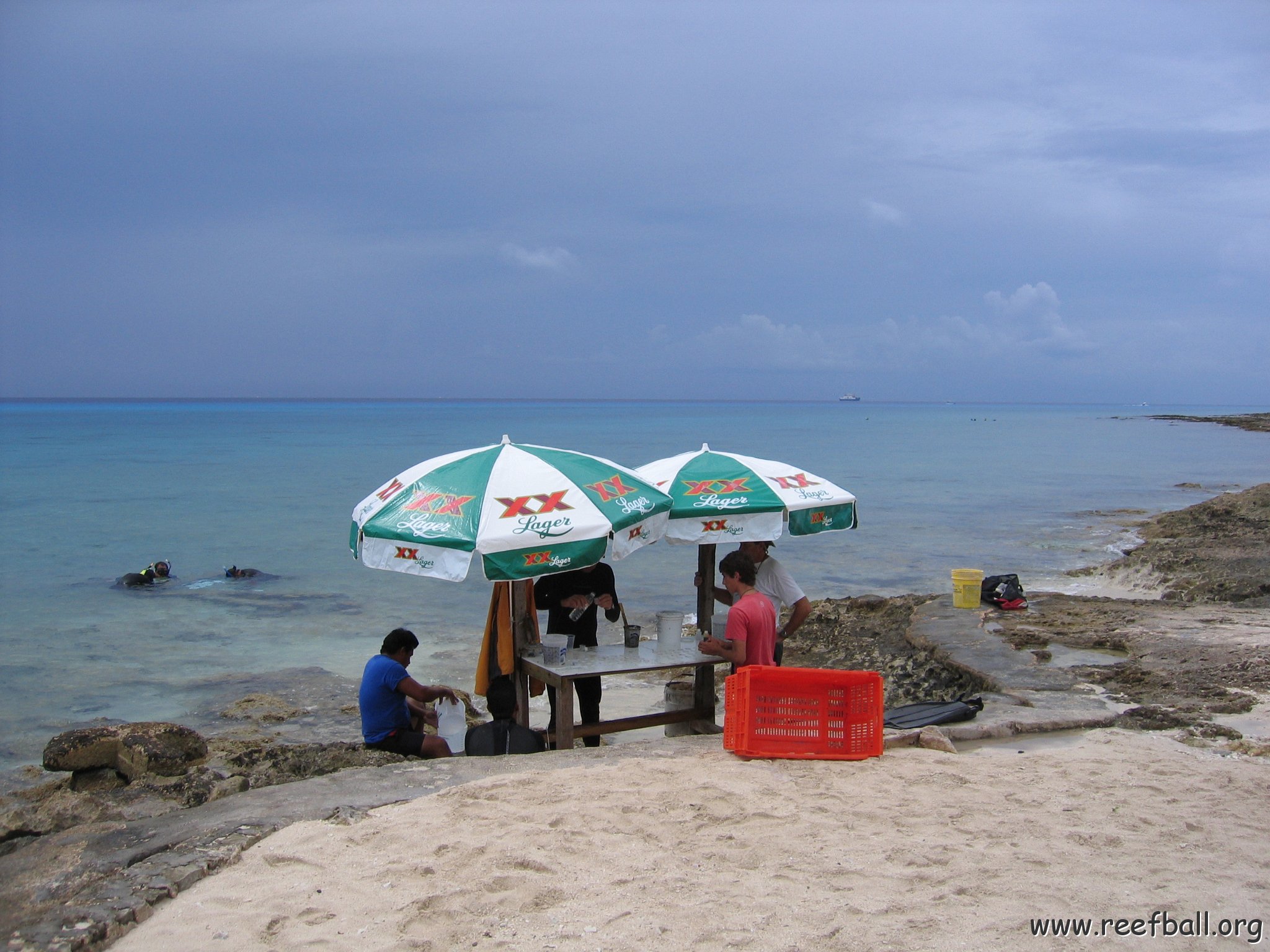 cozumelcoralpropproject2007javertake 055 