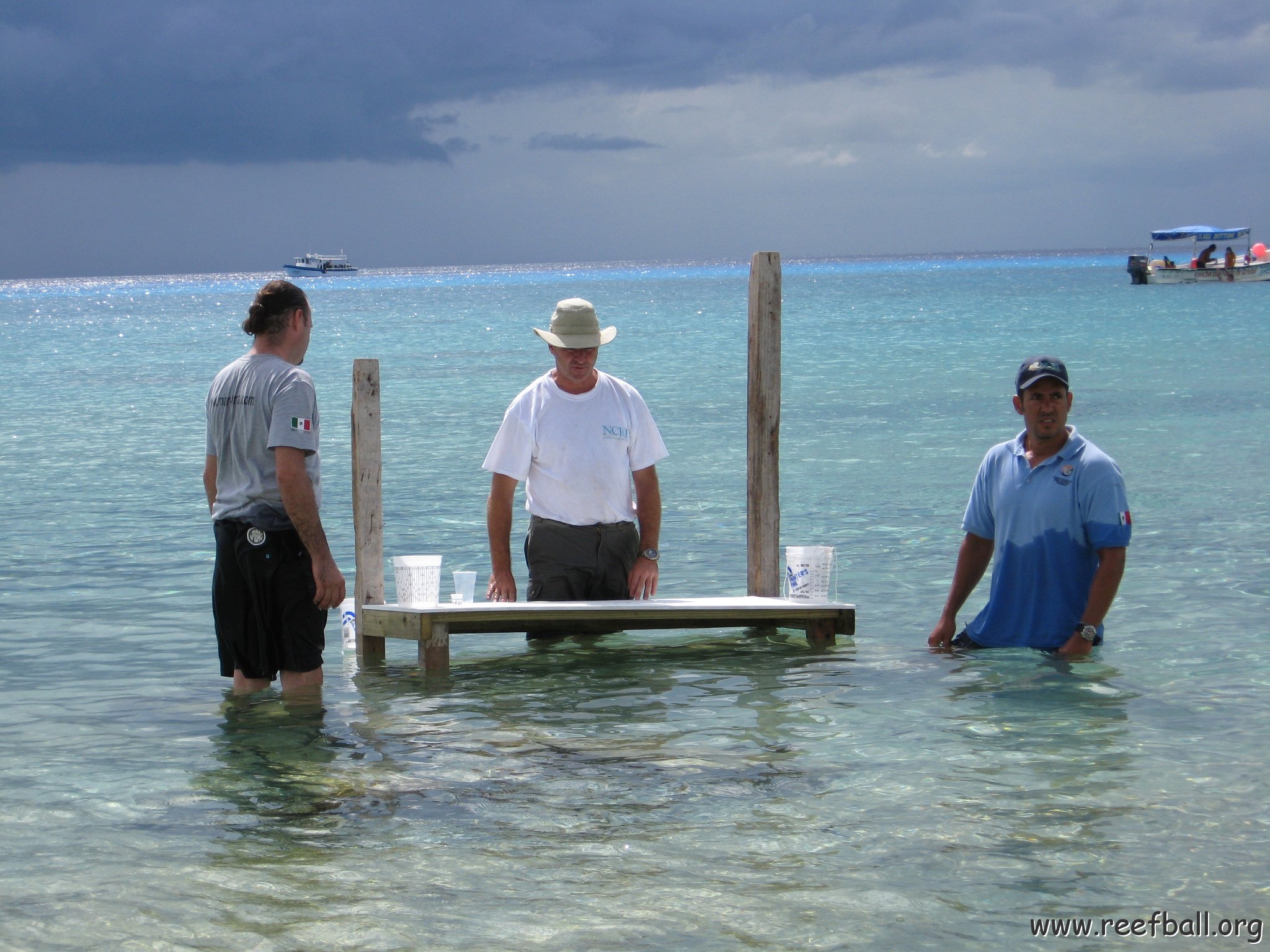 cozumelcoralpropproject2007javertake 181 