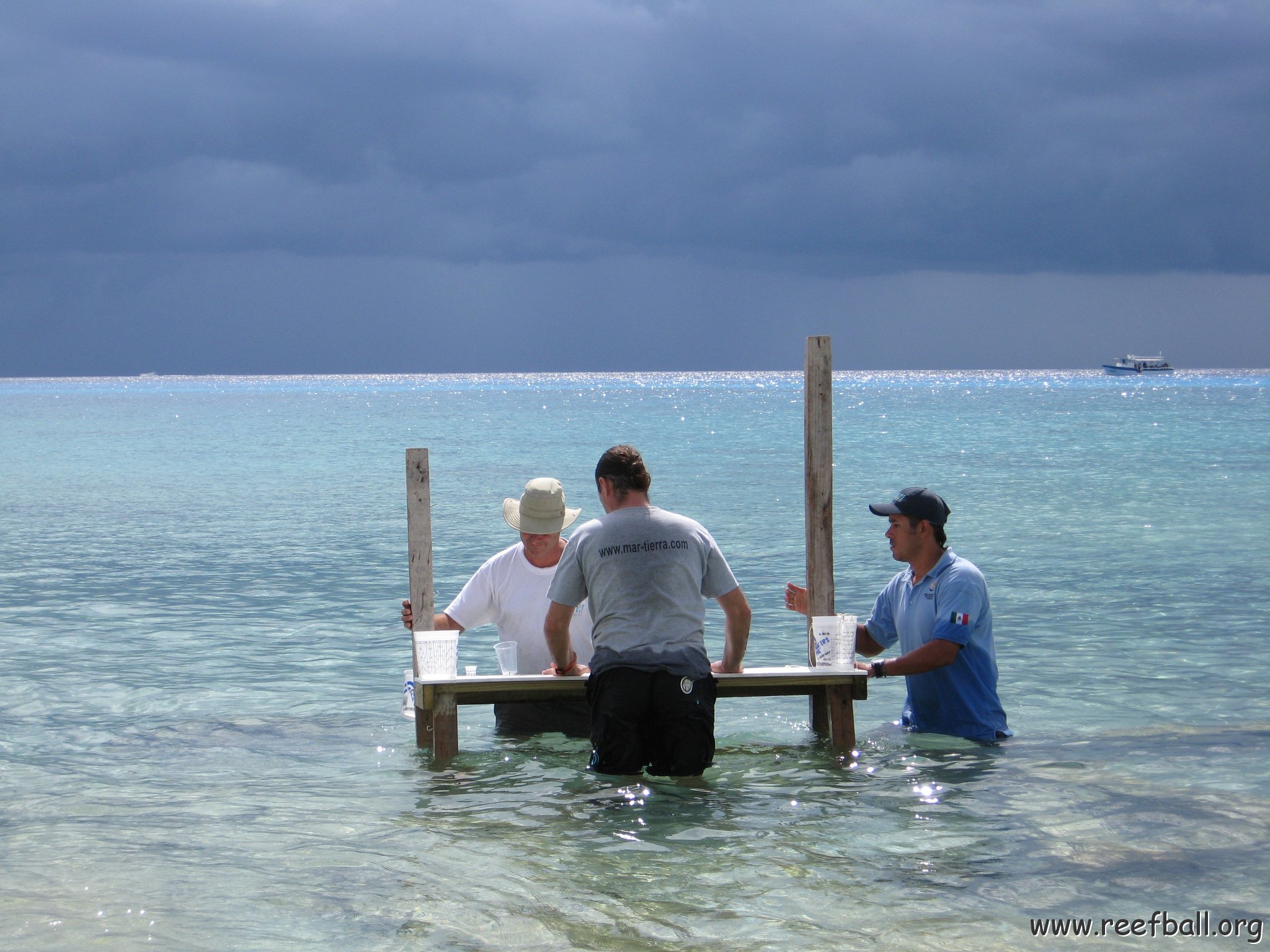 cozumelcoralpropproject2007javertake 184 