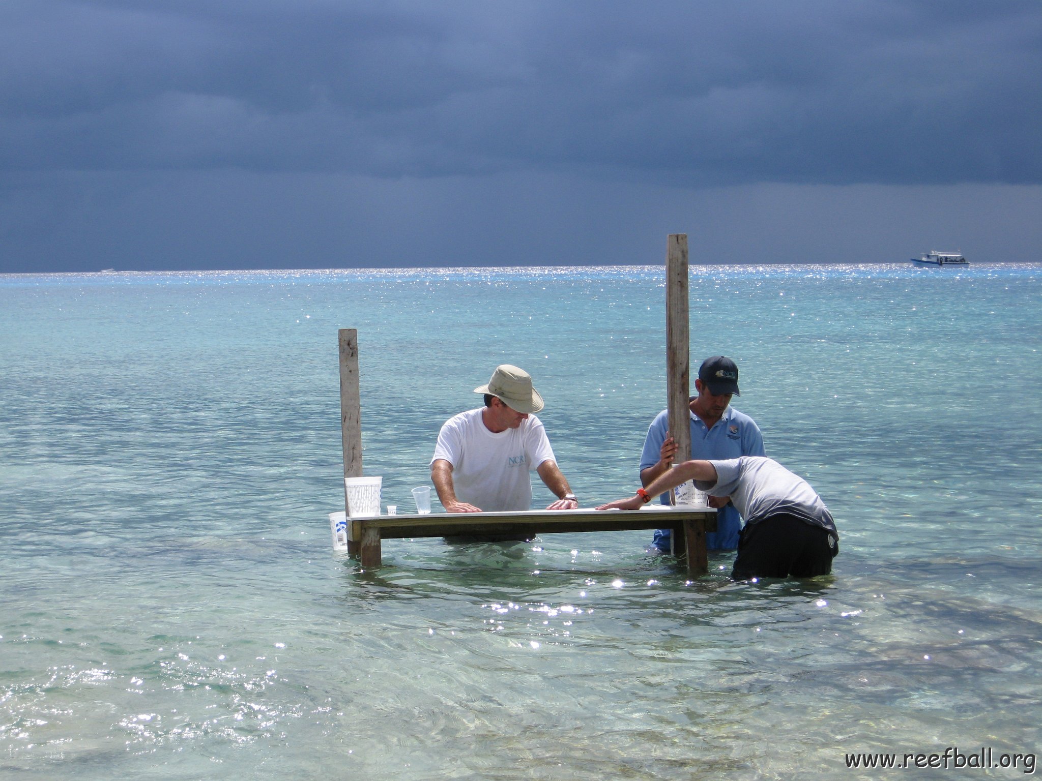 cozumelcoralpropproject2007javertake 185 
