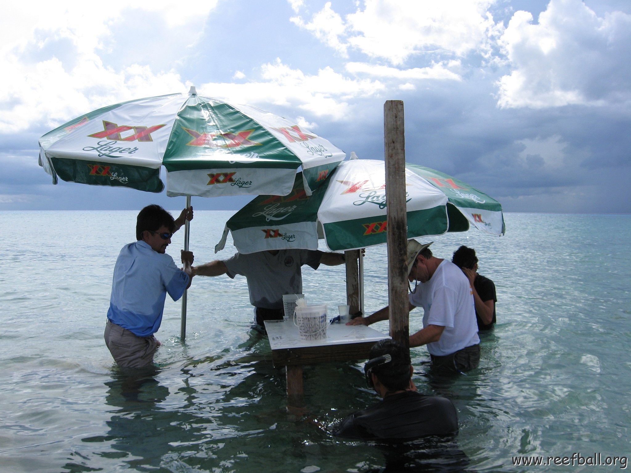 cozumelcoralpropproject2007javertake 186 
