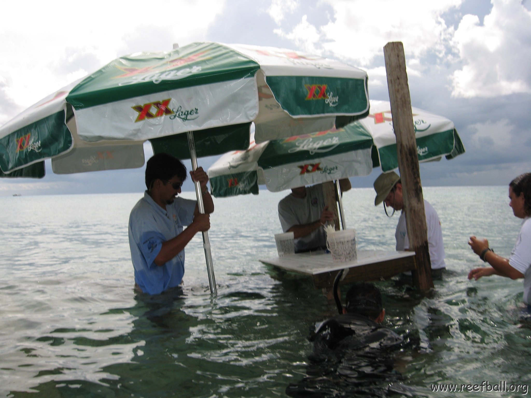 cozumelcoralpropproject2007javertake 187 