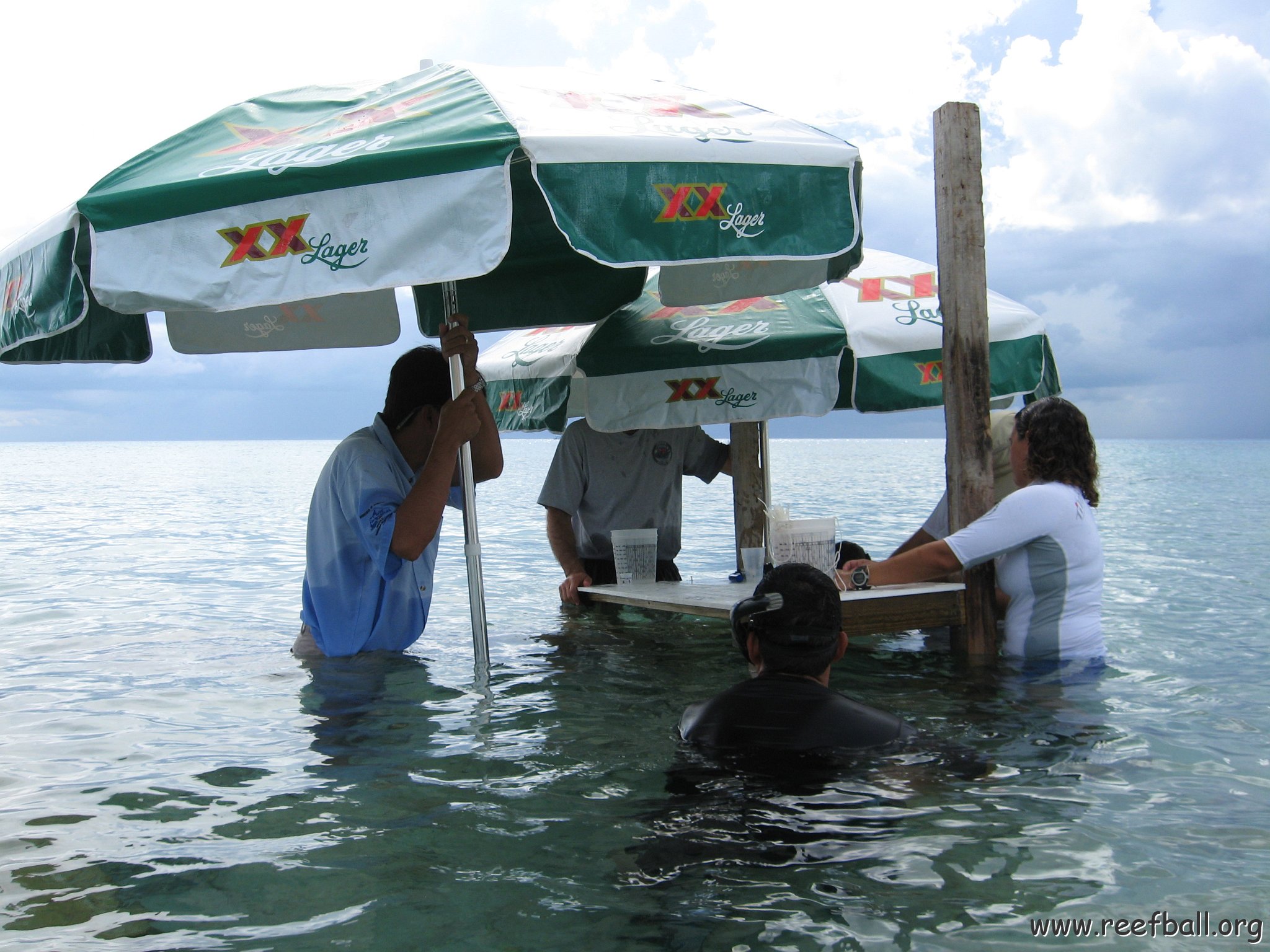 cozumelcoralpropproject2007javertake 188 