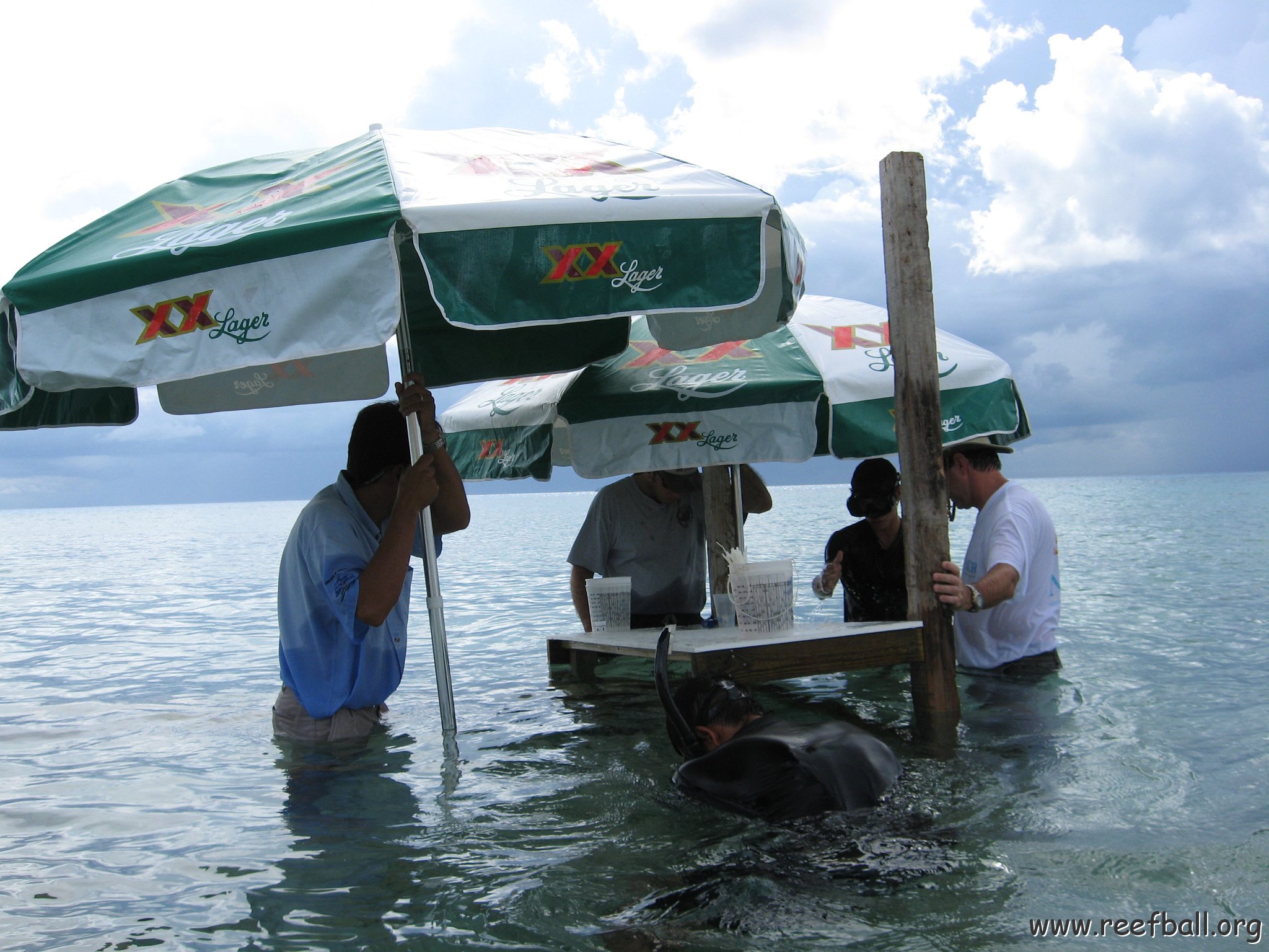 cozumelcoralpropproject2007javertake 189 