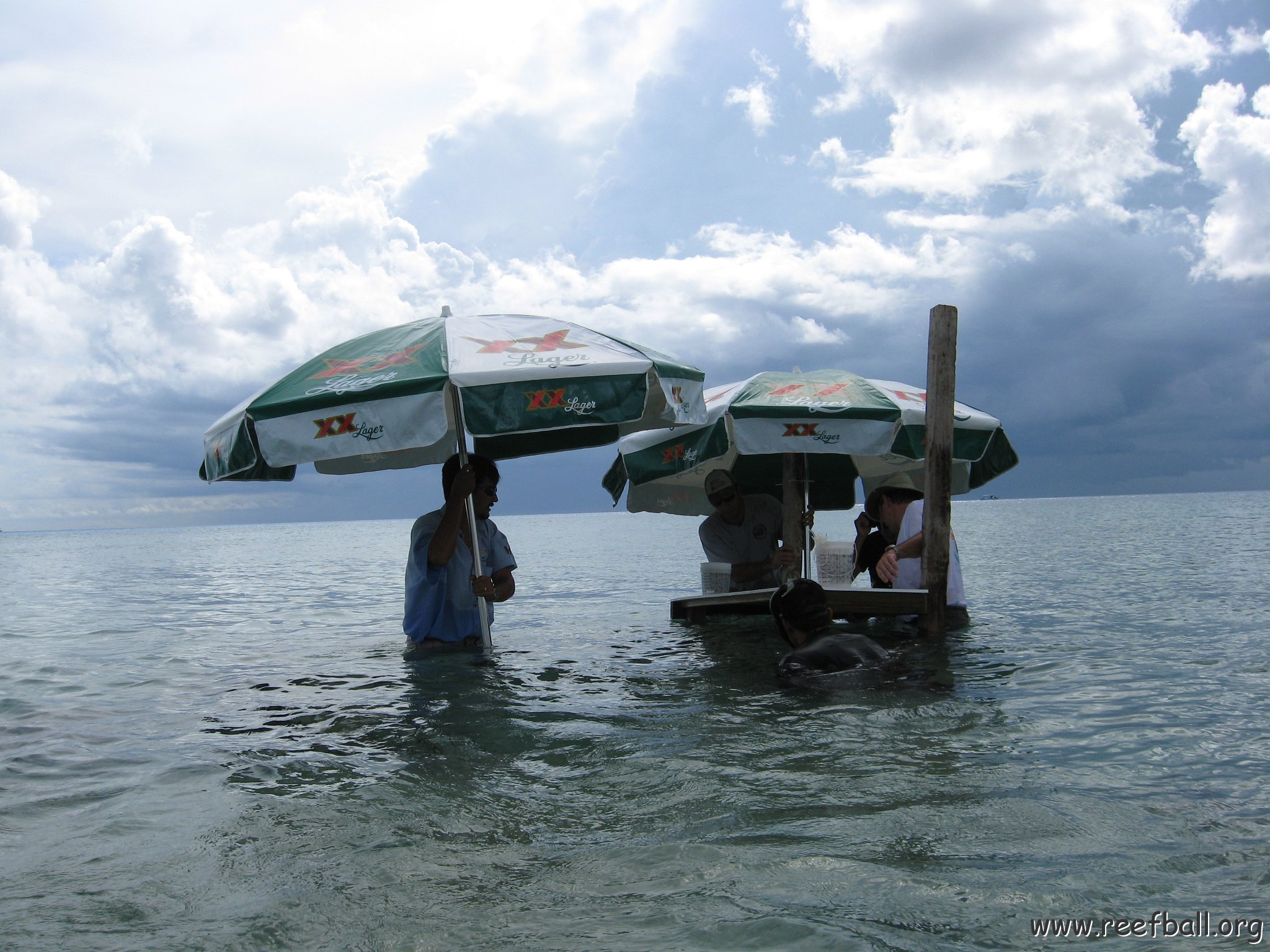 cozumelcoralpropproject2007javertake 190 