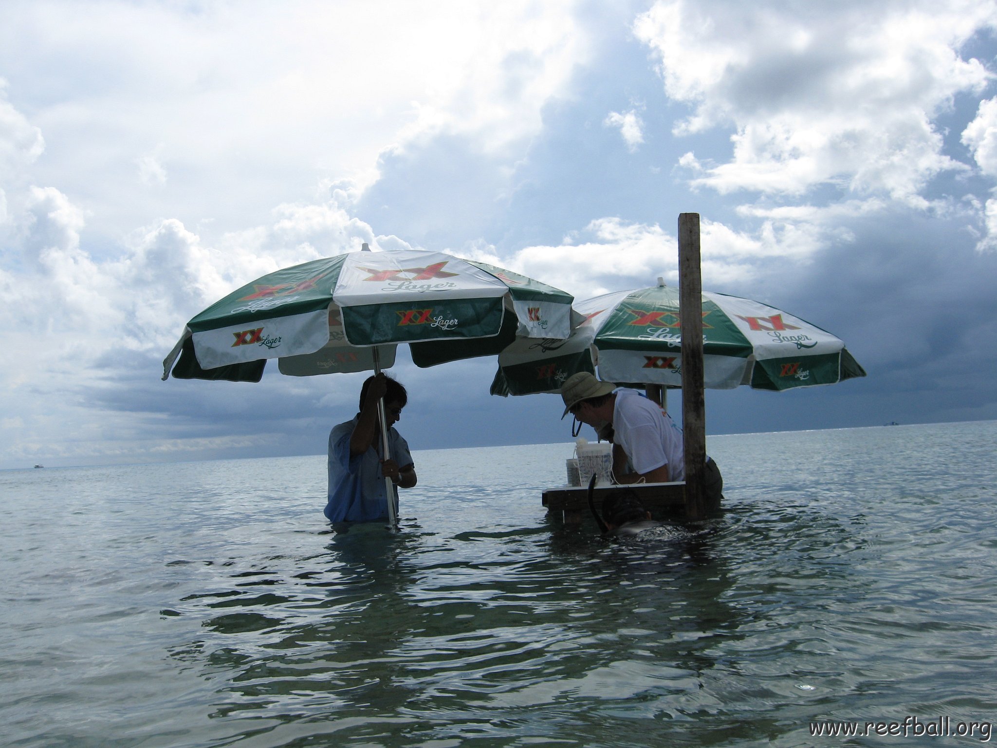 cozumelcoralpropproject2007javertake 191 