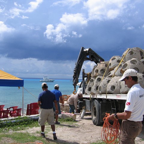 cozumelcoralpropproject2007javertake 042 cozumelcoralpropproject2007javertake 042