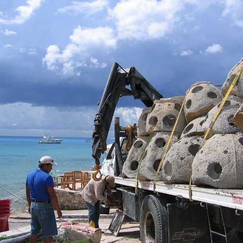 cozumelcoralpropproject2007javertake 043 cozumelcoralpropproject2007javertake 043