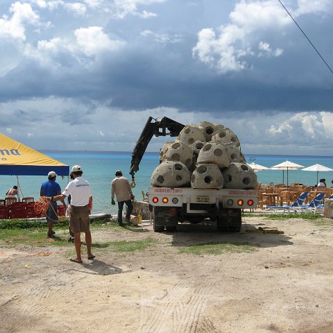 cozumelcoralpropproject2007javertake 169 cozumelcoralpropproject2007javertake 169