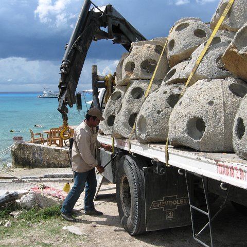 cozumelcoralpropproject2007javertake 171 cozumelcoralpropproject2007javertake 171