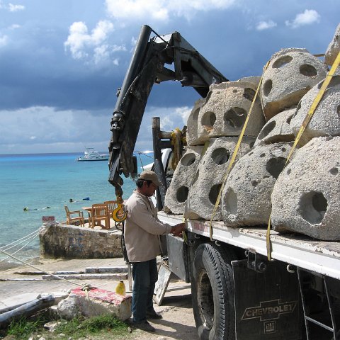 cozumelcoralpropproject2007javertake 172 cozumelcoralpropproject2007javertake 172