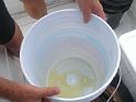 coralpropagation