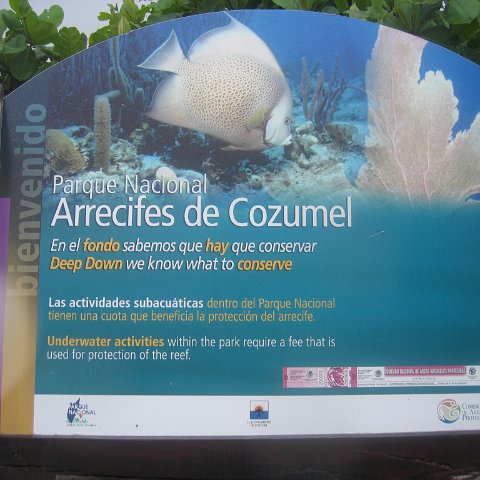 Cozumel Marine Park (COPRENAT) / The Money Bar (Comer Realty Investments) Phase II