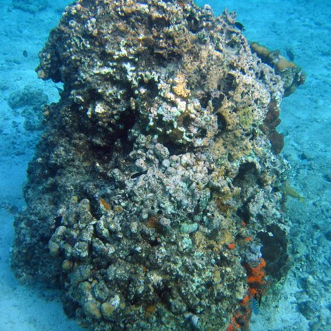 IMG_9113 IMG_9113