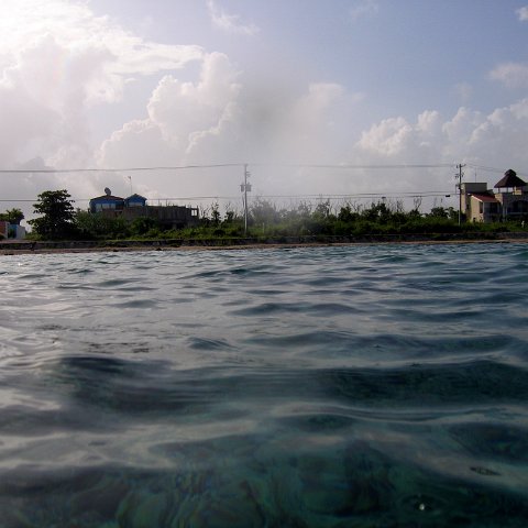 IMG_9134 IMG_9134