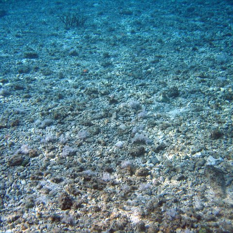 IMG_9139 IMG_9139