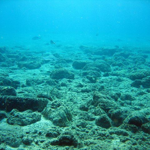 IMG_9145 IMG_9145