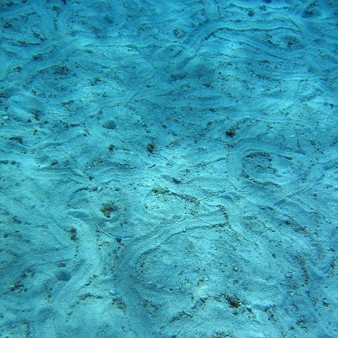 IMG_9150 IMG_9150