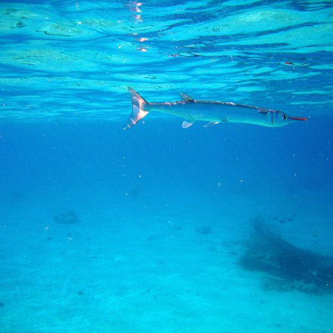 IMG_9154 IMG_9154