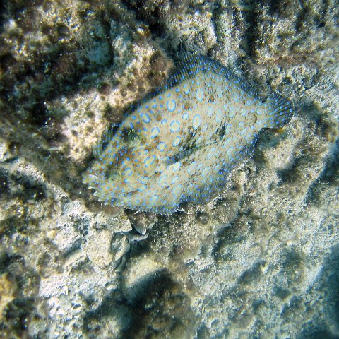 IMG_9170 IMG_9170
