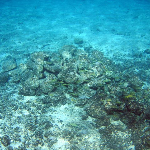 IMG_9172 IMG_9172