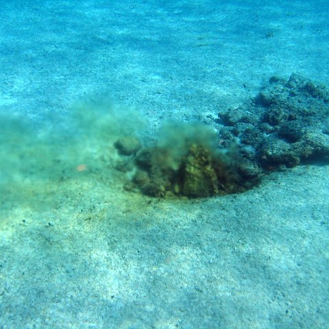 IMG_9173 IMG_9173