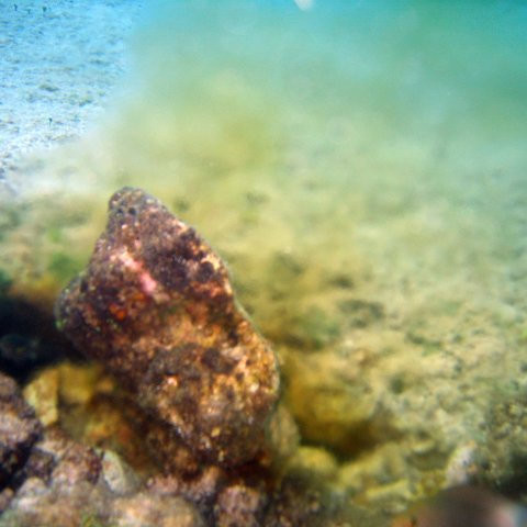 IMG_9175 IMG_9175