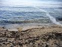 PlayaUvas