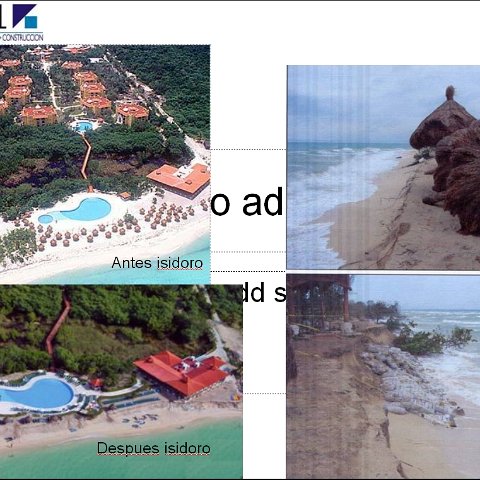 cedralisidoradamage cedralisidoradamage