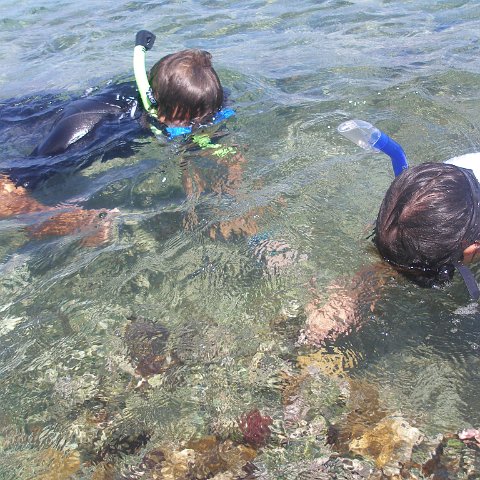 P6130030 P6130030