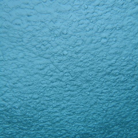 P6150204 P6150204