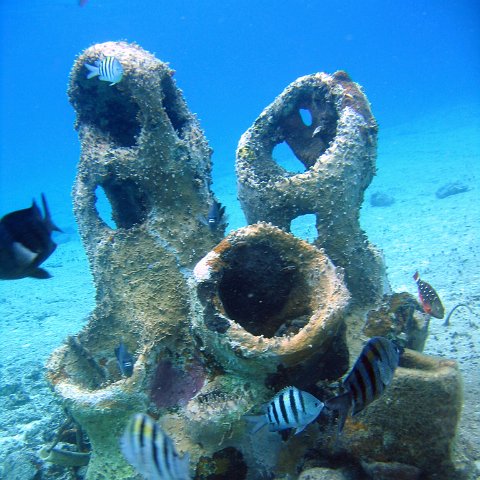 IMG_9078 IMG_9078