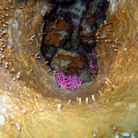 IMG_9088 IMG_9088